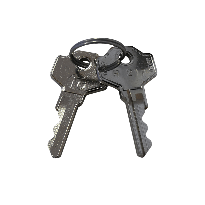 Metal keys for chemical locker